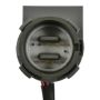 Standard Ignition IFH1 Diesel Fuel Injection Harness