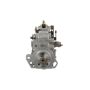 Standard Ignition IP47 Diesel Fuel Injection Pump