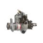 Standard Ignition IP47 Diesel Fuel Injection Pump