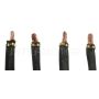 Standard Ignition JX-117 Starter Brush Set