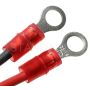 Standard Ignition LX-802 Electronic Ignition Conversion Kit