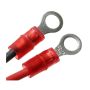 Standard Ignition LX-802 Electronic Ignition Conversion Kit