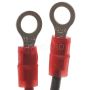 Standard Ignition LX-820 Electronic Ignition Conversion Kit