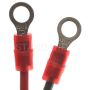 Standard Ignition LX-822 Electronic Ignition Conversion Kit