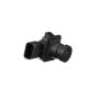 Standard Ignition PAC111 Park Assist Camera