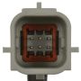 Standard Ignition PAC116 Park Assist Camera