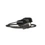 Standard Ignition PAC117 Park Assist Camera