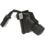 Standard Ignition PAC137 Park Assist Camera