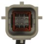 Standard Ignition PAC145 Park Assist Camera
