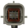 Standard Ignition PAC146 Park Assist Camera