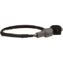 Standard Ignition PAC16 Park Assist Camera