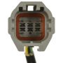 Standard Ignition PAC16 Park Assist Camera