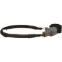 Standard Ignition PAC16 Park Assist Camera