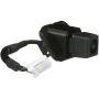 Standard Ignition PAC195 Park Assist Camera