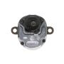 Standard Ignition PAC533 Park Assist Camera