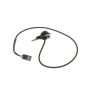 Standard Ignition PAC539 Park Assist Camera