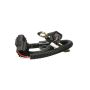 Standard Ignition PC260 Crankshaft Sensor
