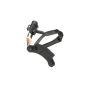 Standard Ignition PC61 Crankshaft Sensor
