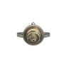 Standard Ignition PR243 Fuel Pressure Regulator