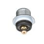 Standard Ignition PR401 Fuel Pressure Regulator