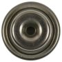 Standard Ignition PR569 Fuel Pressure Regulator