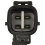 Standard Ignition PT2 Knock Sensor Harness
