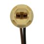 Standard Ignition S-100 Multi Function Socket