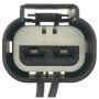 Standard Ignition S-1019 Blower Motor Connector