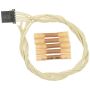 Standard Ignition S-1310 Alarm Chime Module Connector