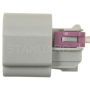 Standard Ignition S-1407 Turn Signal Lamp Connector