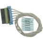 Standard Ignition S-1616 Pulse Wiper Module Connector