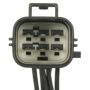 Standard Ignition S-1841 Back-Up Light Socket