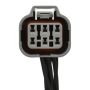 Standard Ignition S-2254 Daytime Running Lamp Module Connector