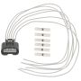 Standard Ignition S2461 Multi Function Connector