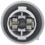 Standard Ignition S2607 Back-Up Light Socket