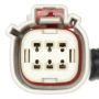 Standard Ignition S2623 Taillight Connector