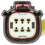 Standard Ignition S2624 Taillight Connector