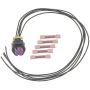 Standard Ignition S2902 Multi Function Connector