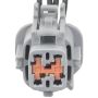 Standard Ignition S2924 Multi Function Connector