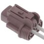 Standard Ignition S2942 Multi Function Connector