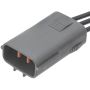 Standard Ignition S2981 Multi Function Connector