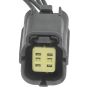 Standard Ignition S3099 Multi Function Connector