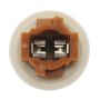 Standard Ignition S-815 Multi Function Socket