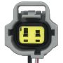 Standard Ignition S-816 Side Marker Lamp Connector