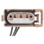 Standard Ignition S-894 License Plate Light Socket Connector