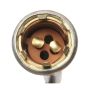 Standard Ignition S-91 Multi Function Socket