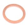 Standard Ignition SL136-32 Copper Washer