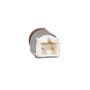 Standard Ignition SLS-361 Stoplight Switch