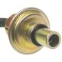 Standard Ignition TM-17 Automatic Transmission Vacuum Modulator