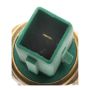 Standard Ignition TS-117 Coolant Fan Switch